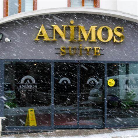 Animos Butik Otel 앙카라 외부 사진